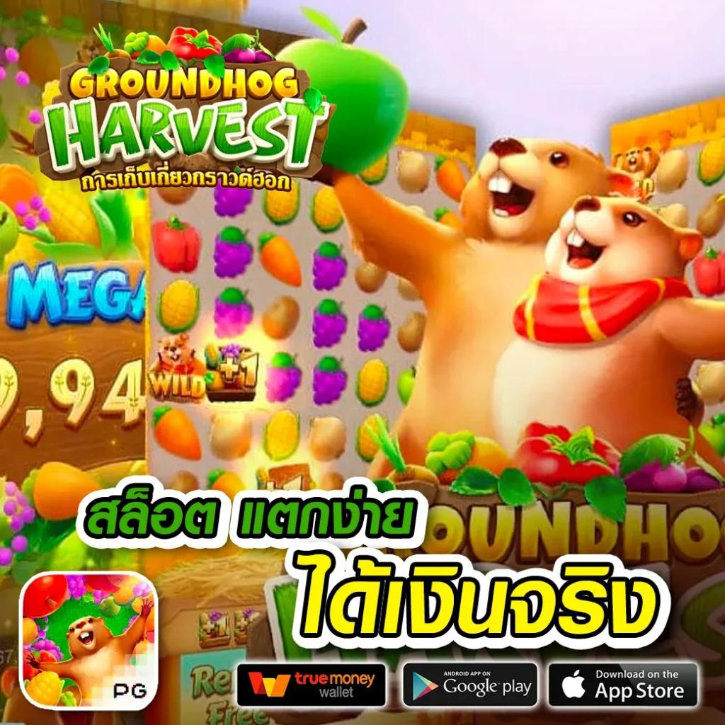 ดูผลบอลเมื่อคืนทุกลีก สดเต็มแมตช์ สถิติอัปเดตล่าสุด