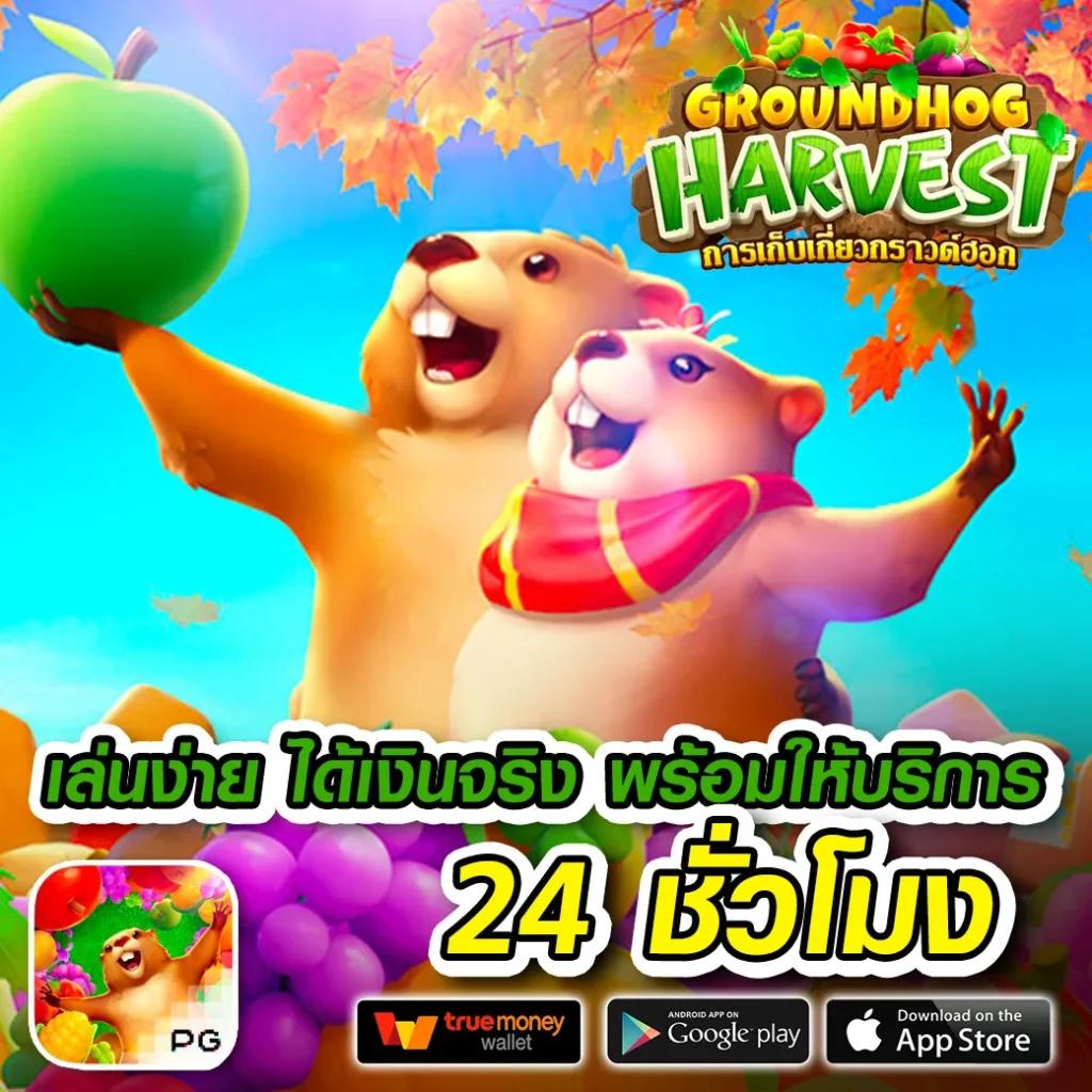 สนุกสุดมันกับเกมคาสิโนออนไลน์ที่ fin88 พร้อมโปรโมชั่นพิเศษ
